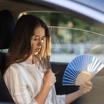 Car Electrical System Summer