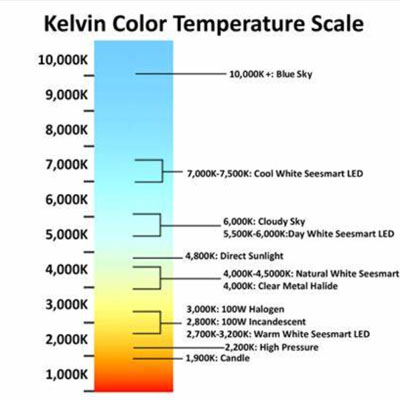 Automotive Spotlights
